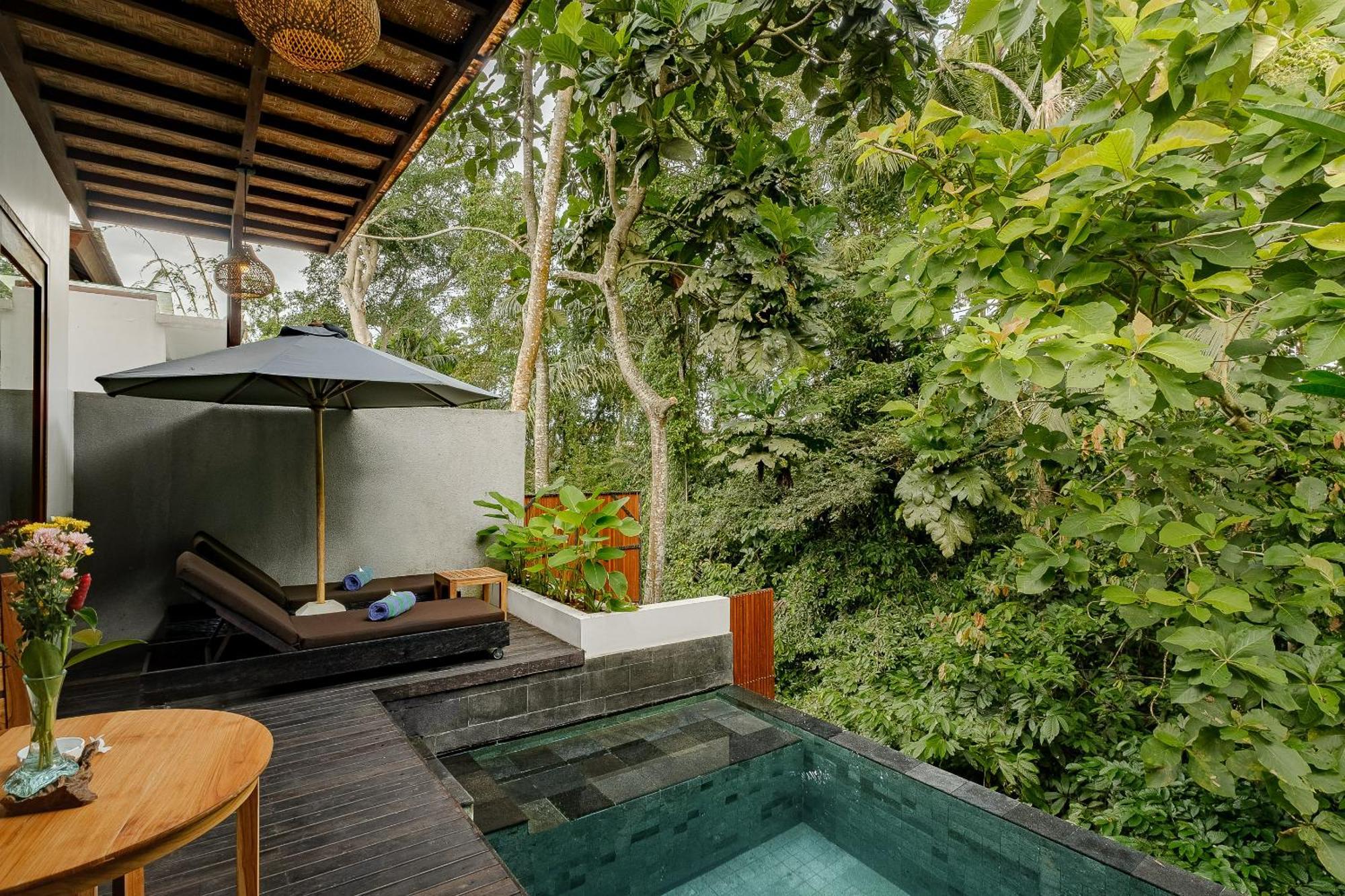 विला Elitya Ubud (Bali)